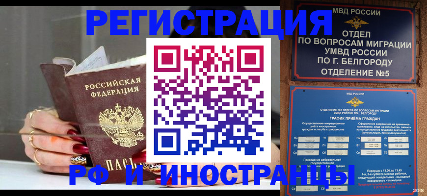 прописка в Михайлове